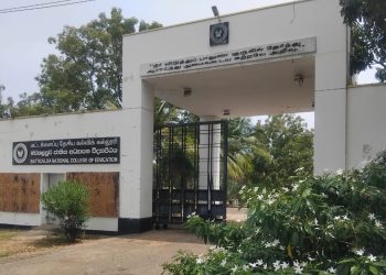 தேசிய கல்வியியல் கல்லூரிகள்